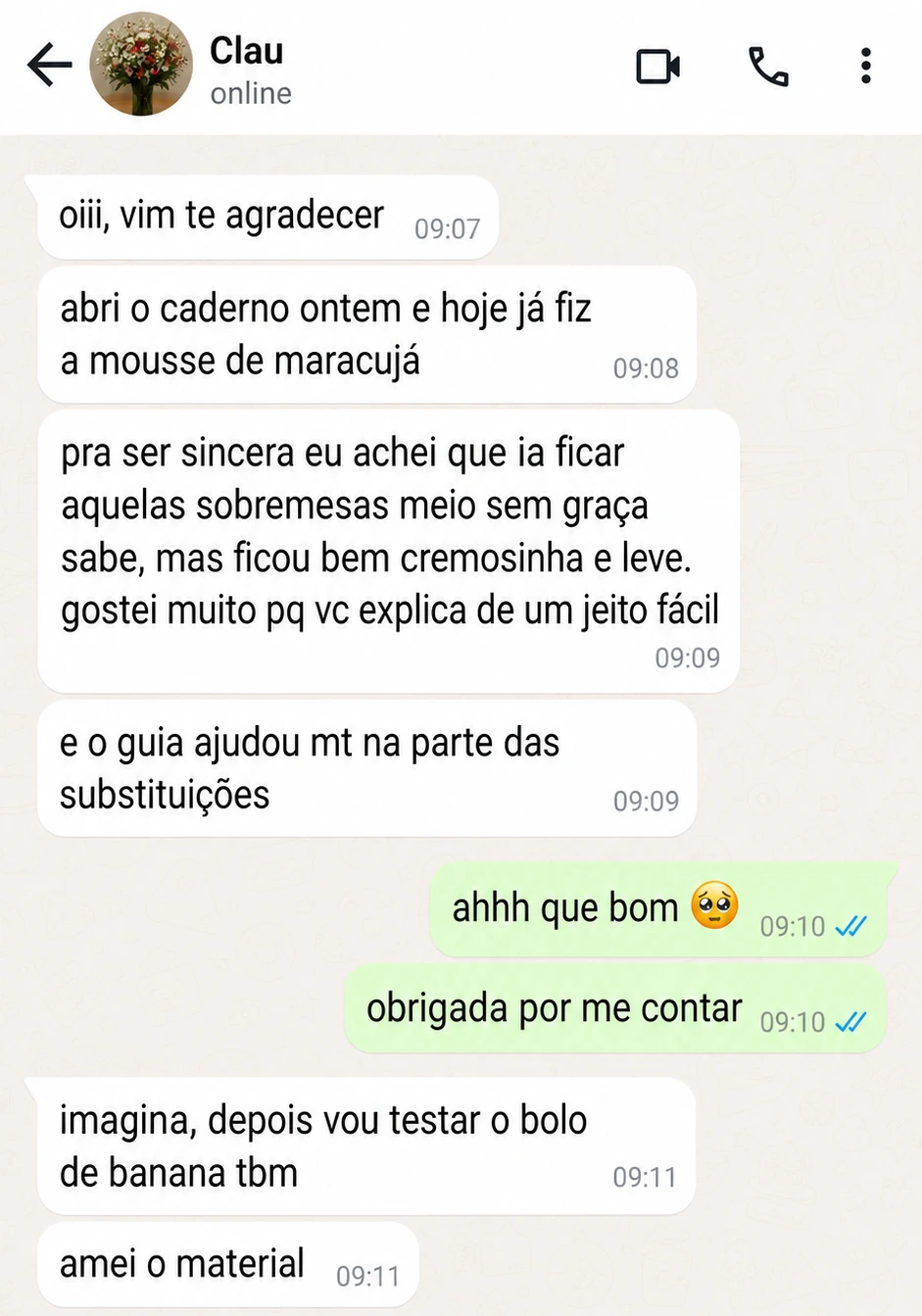 Depoimento sobre Guia Anti-Erros das Substituições